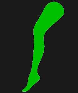 Collant Vert Adulte
