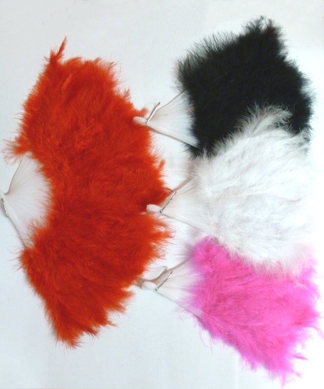 Eventail plumes