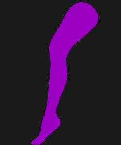 Collant Violet Adulte