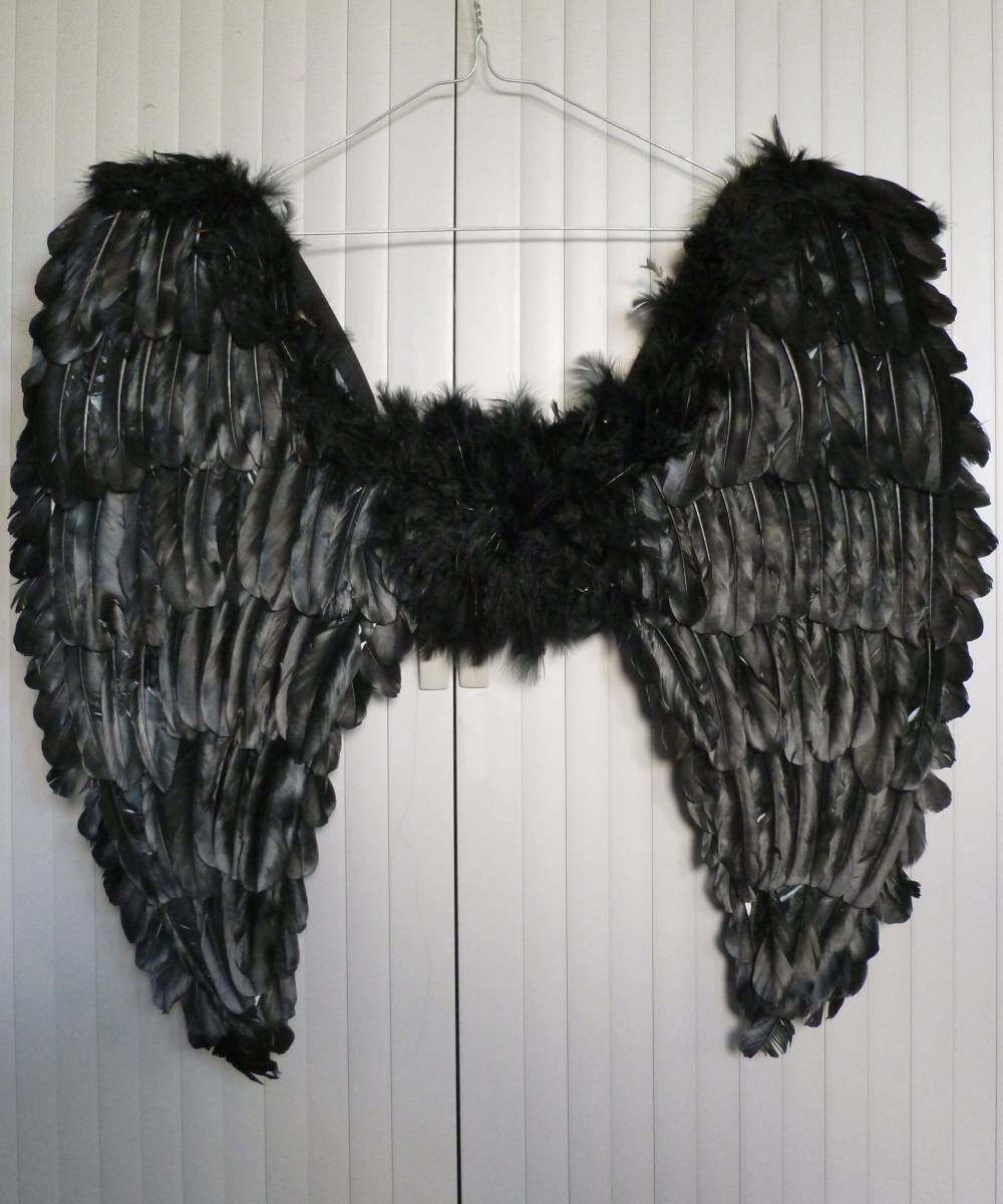 Ailes plumes 60x60cm