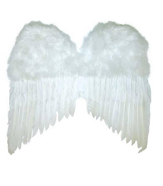 Ailes plumes 50x42cm
