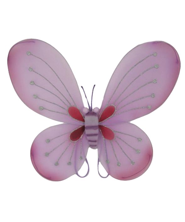 Ailes papillon M5