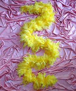 Boa jaune Gala 80g