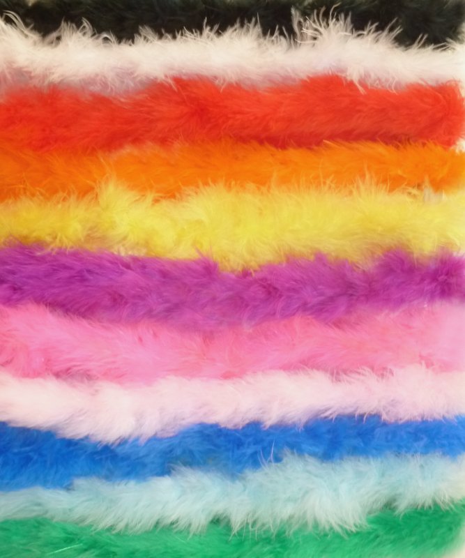 Marabout en plumes15g