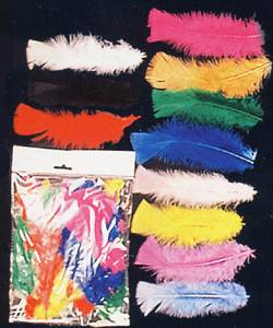 Lot de 100 plumes