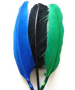 Plumes indien M2