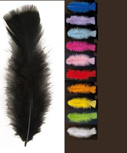 Lot de 50 plumes 10cm