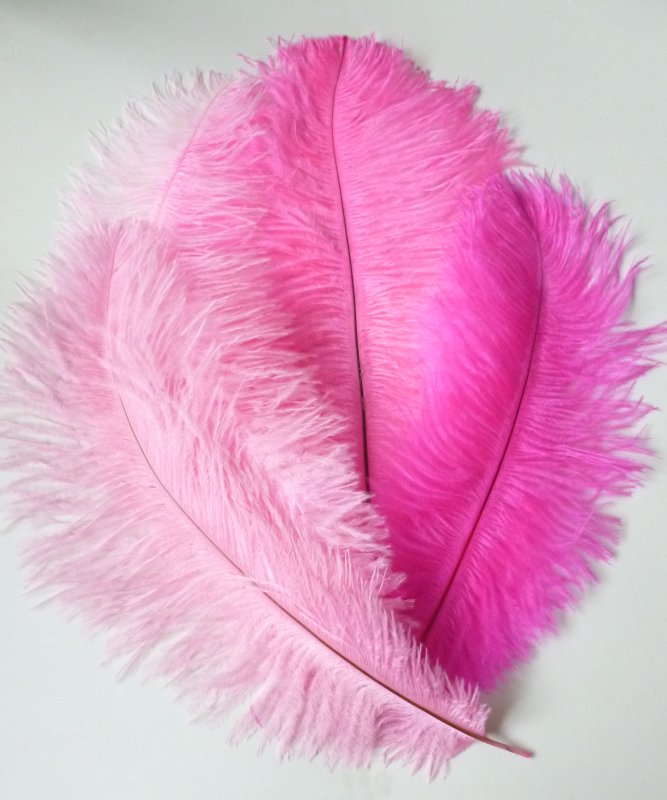 Plume Autruche Rose 30-40cm