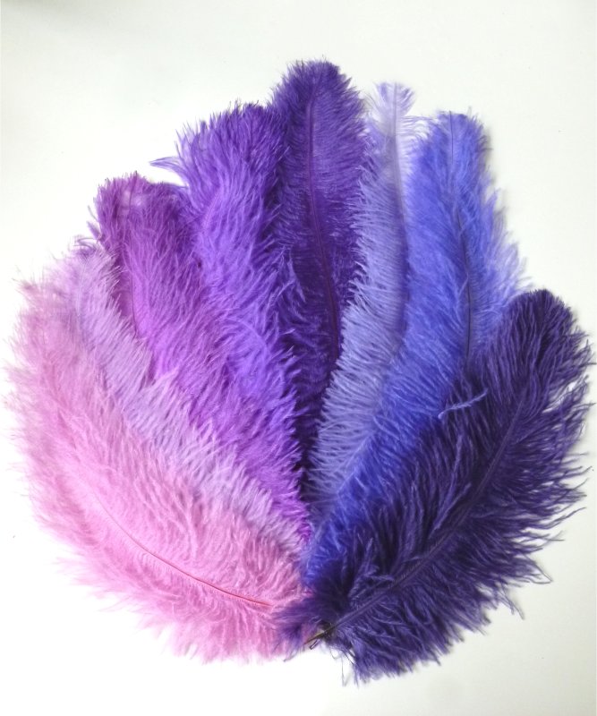 Plume Autruche Violette 30-40cm
