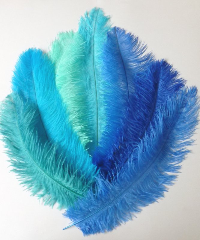 Plume Autruche Bleue 30-40cm