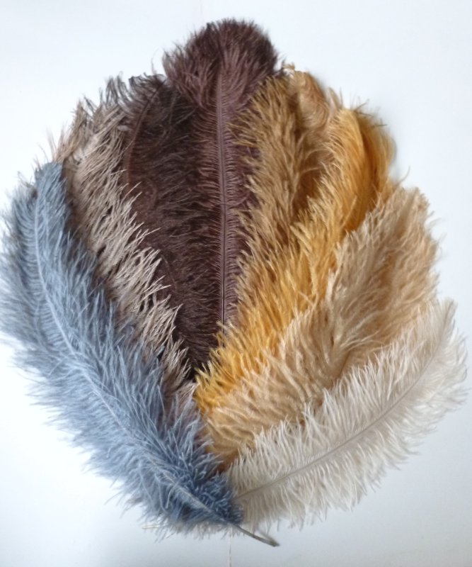 Plume Autruche 30-40cm