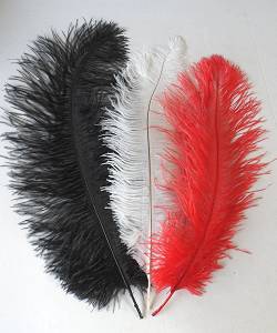 Plume Autruche 30-40cm