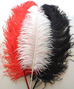 Plume Autruche 50-60cm