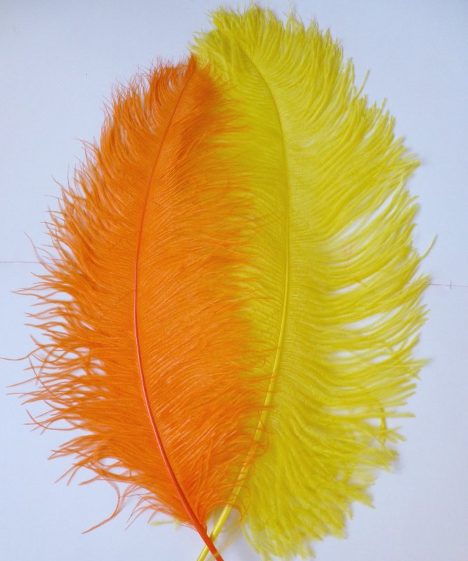 Plume Autruche Jaune 50-60cm
