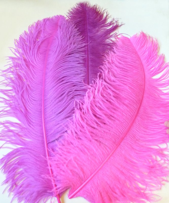 Plume Autruche Rose 50-60cm