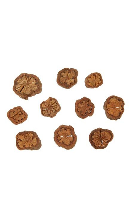 Chips naturel 100g S01