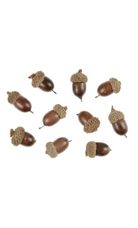 Glands naturel 65g S01
