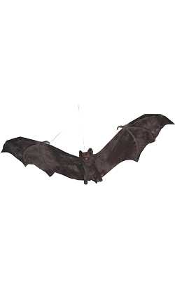 Chauve souris 60cm