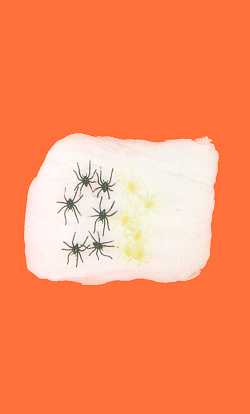 Toile 125g blanche