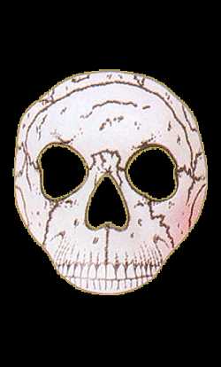 Loup t�te de mort
