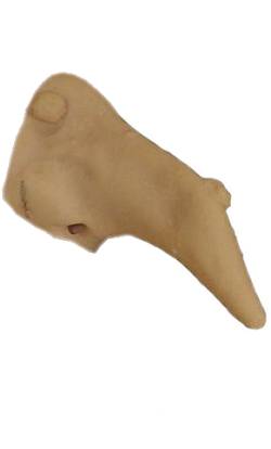 Nez de sorci�re