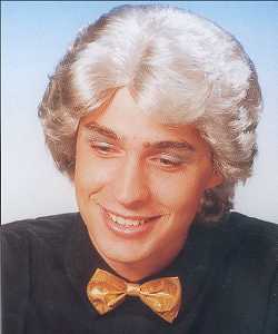 Perruque Bobby grise