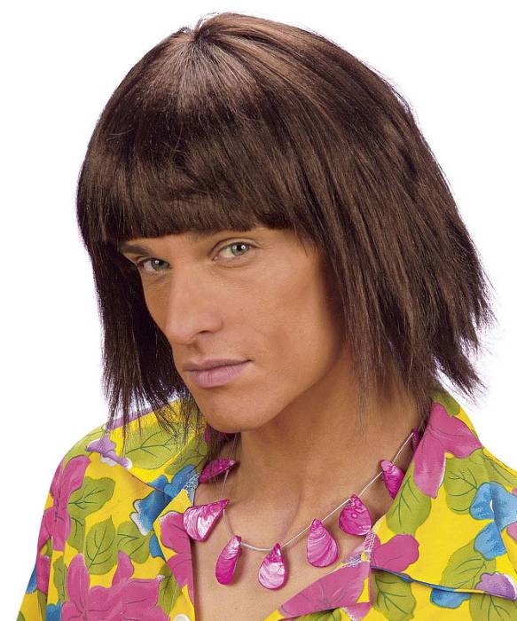 Perruque Beach Boy Ch�tain