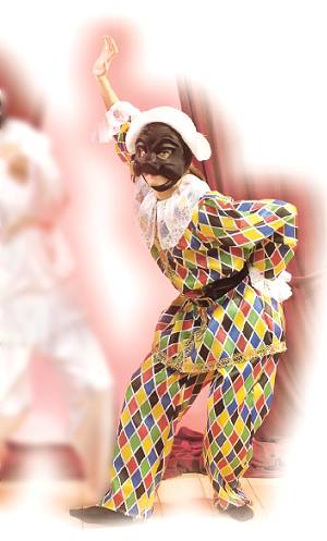 Costume Arlequin H4
