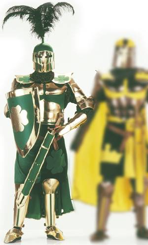Costume Chevalier Ulfin