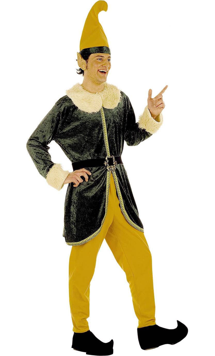 Costume Elfe H1