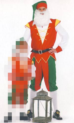 Costume Lutin H2