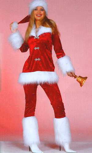 Costume mère noël hotesse luxe-v29163