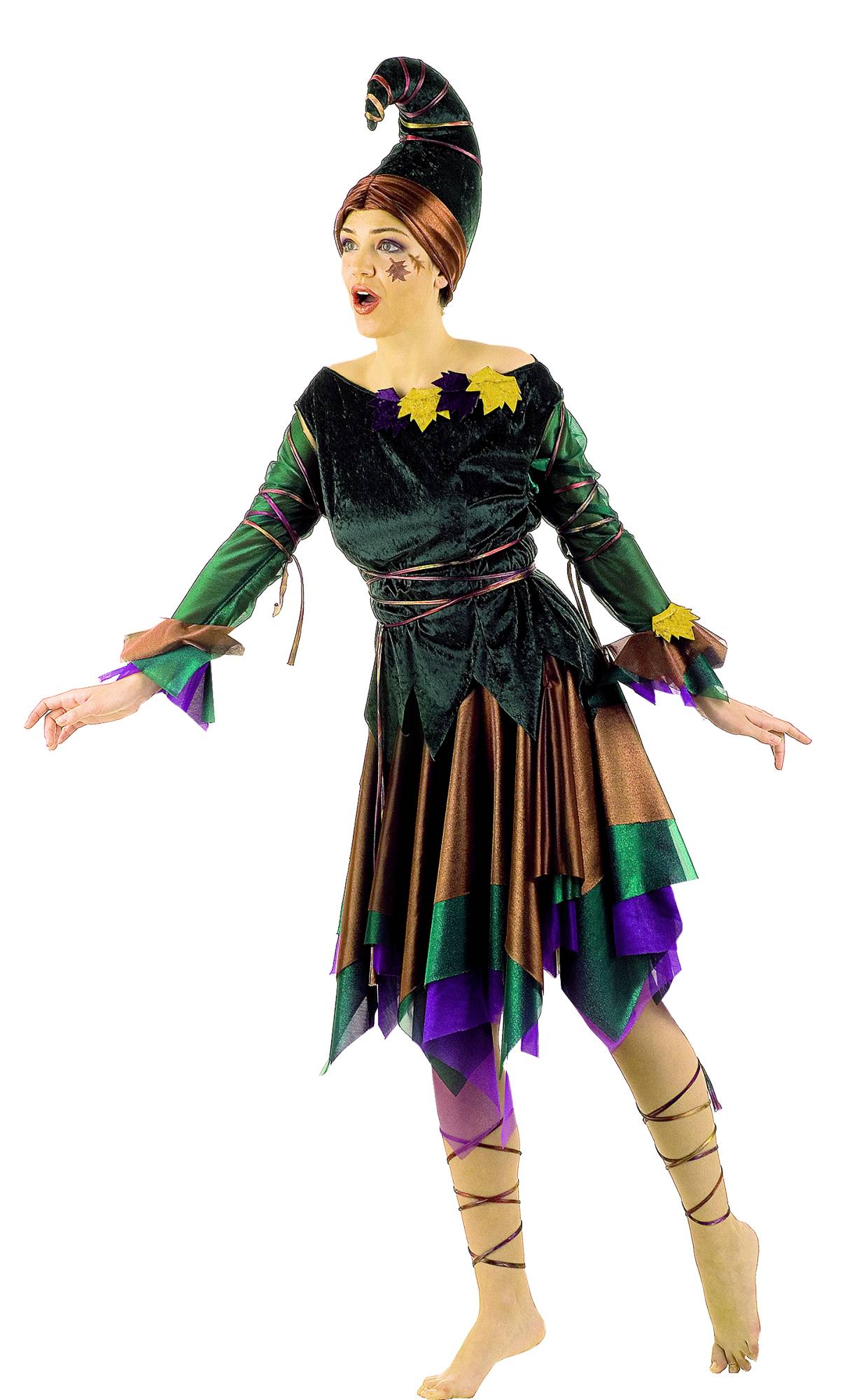 Costume Elfe F1