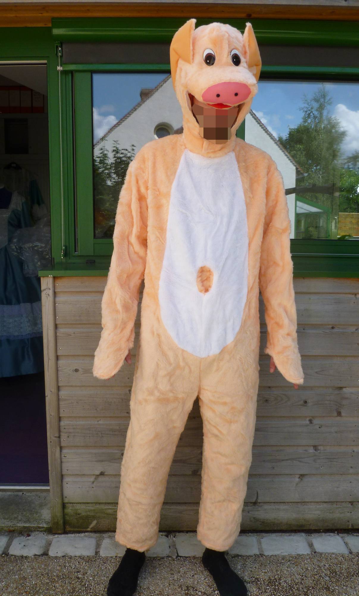 Costume Cochon M1