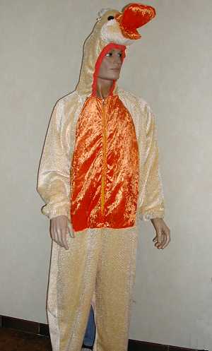 Costume Canard M2