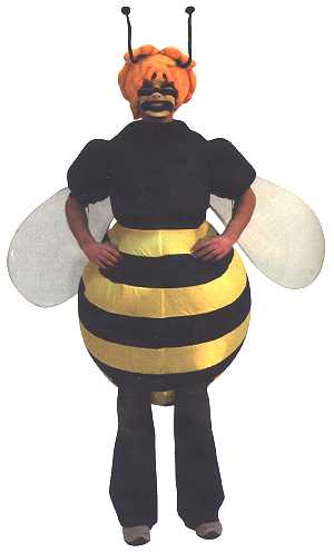 Costume Big abeille