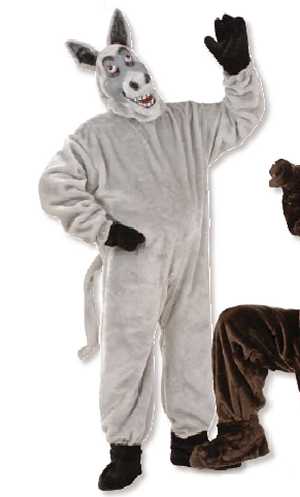 Costume Ane M1