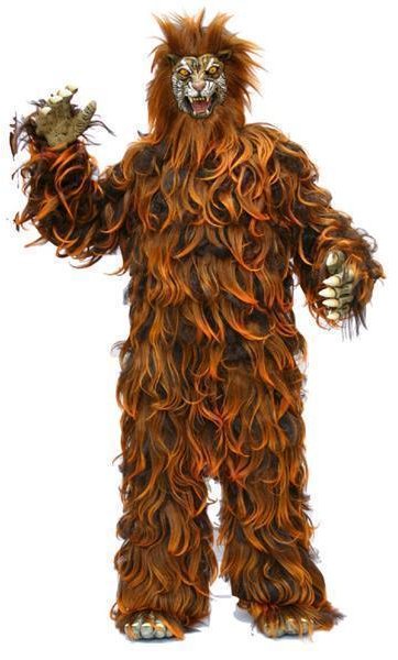 Costume Tigre M4
