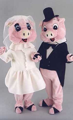 Costume Mascotte Cochon M3