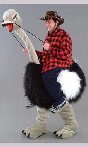 Costume Mascotte Autruche mont�e  M1