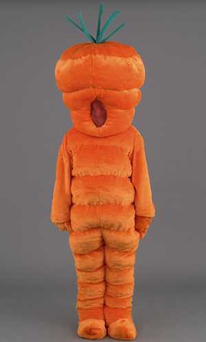 Costume Mascotte Carotte M1