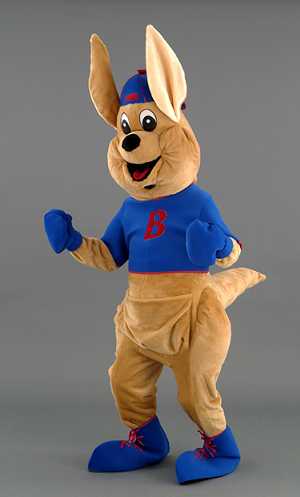 Costume Mascotte Kangourou M2