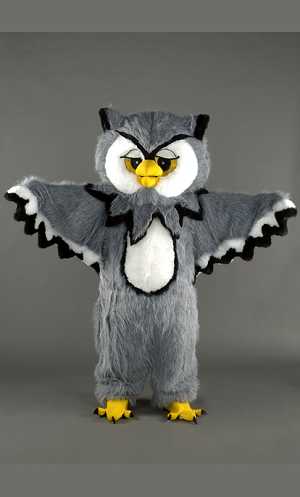 Costume Mascotte Hibou M1