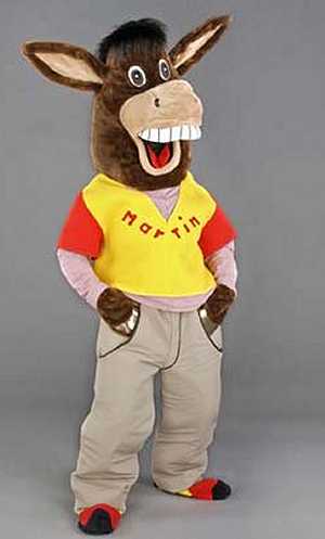 Costume Mascotte Ane M2