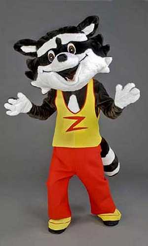Costume Mascotte Raton Laveur M2