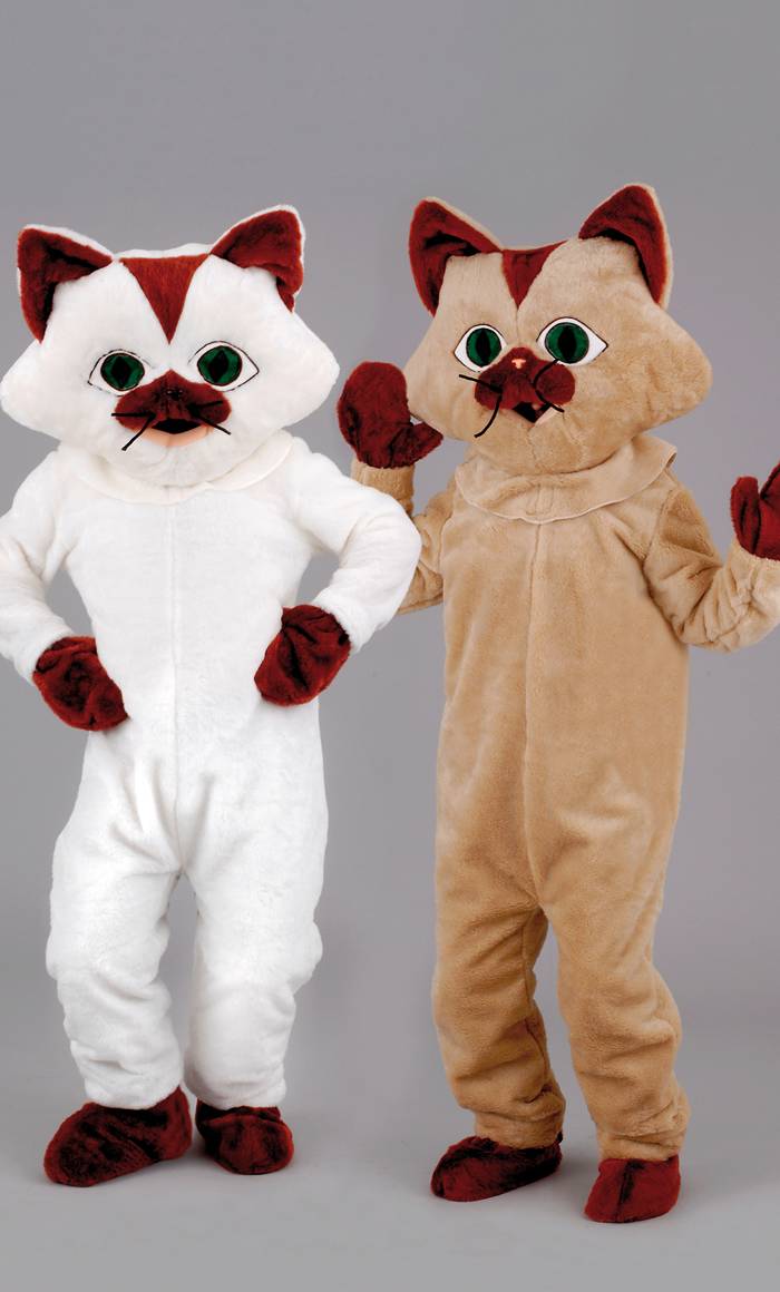 Costume mascotte chat-v39297