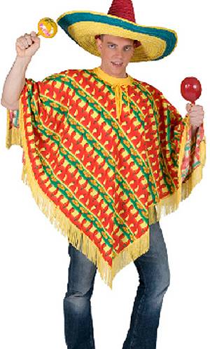 Costume Poncho Mexique H2