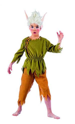 Costume Elfe G2