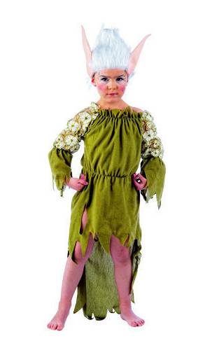 Costume Elfe D5