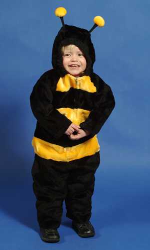 Costume Abeille E2